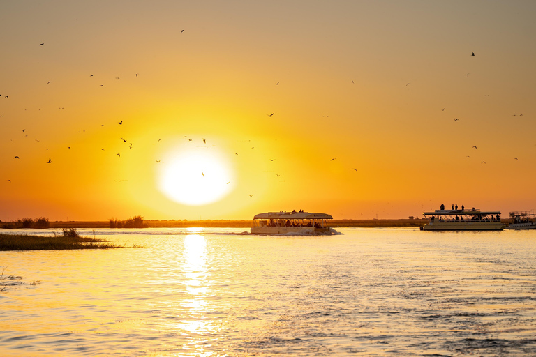 Victoria Falls: 2-Day Chobe National Park Camping Safari