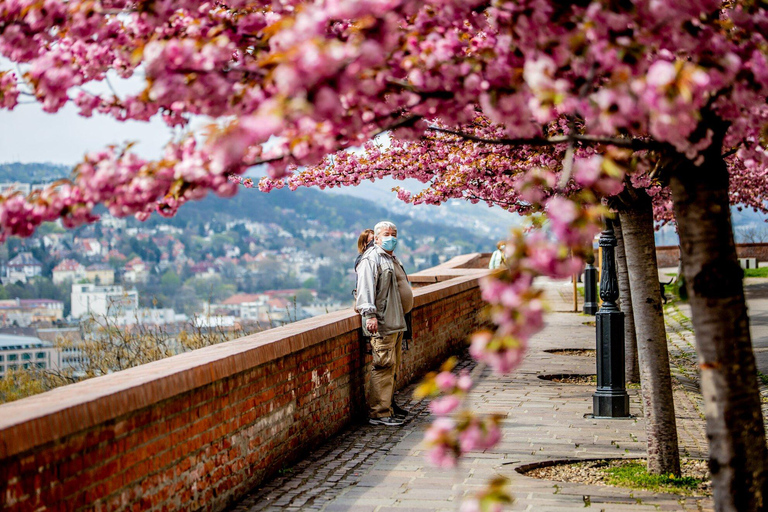 Buda Castle Walking Tour + Professional Photoshoot