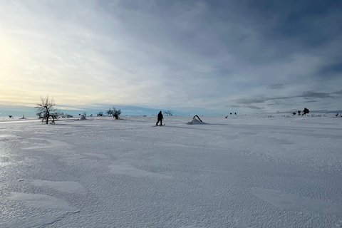 Saariselkä: Private UKK Park Snowshoe Walk & Cowboy Coffee