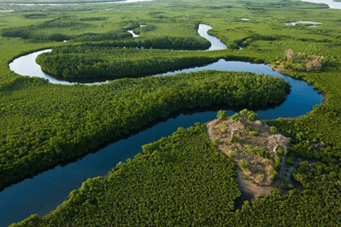Sine Saloum: Shell Island and Bird Sanctuary