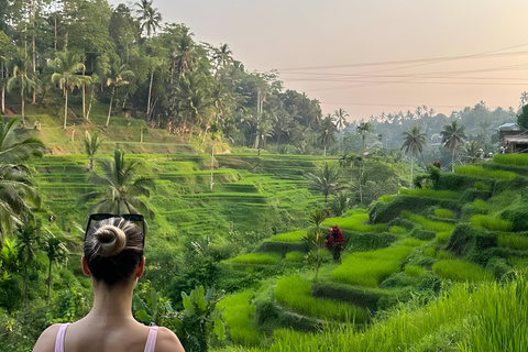 Ubud: Tour privato di templi, cascate e terrazze di risoTour di mezza giornata privato di Ubud 5-6 ore