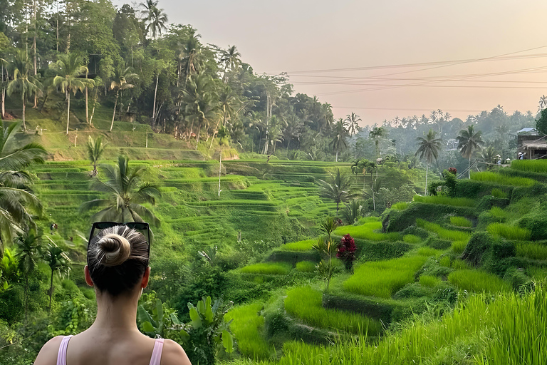 Ubud: Tour privato di templi, cascate e terrazze di risoTour di mezza giornata privato di Ubud 5-6 ore