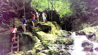 Bach Ma National park Trekking tour from Hue/DaNang/Hoian - Housity