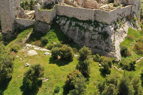 Explore o norte da Jordânia: de Amã a Jerash, Ajloun e Umm Qais