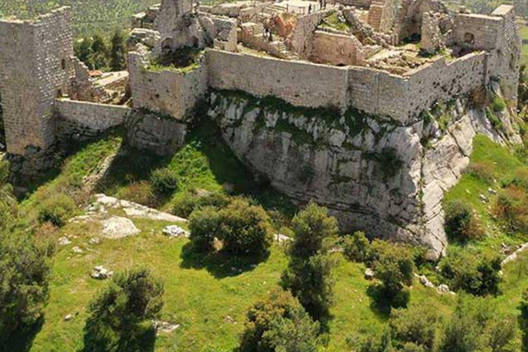 Explore o norte da Jordânia: de Amã a Jerash, Ajloun e Umm Qais