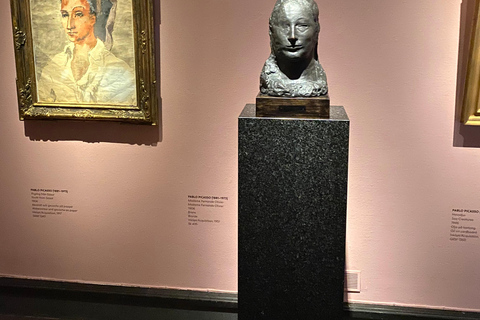 Biglietto d&#039;ingresso al Museo d&#039;arte di Göteborg con servizio di prelievo