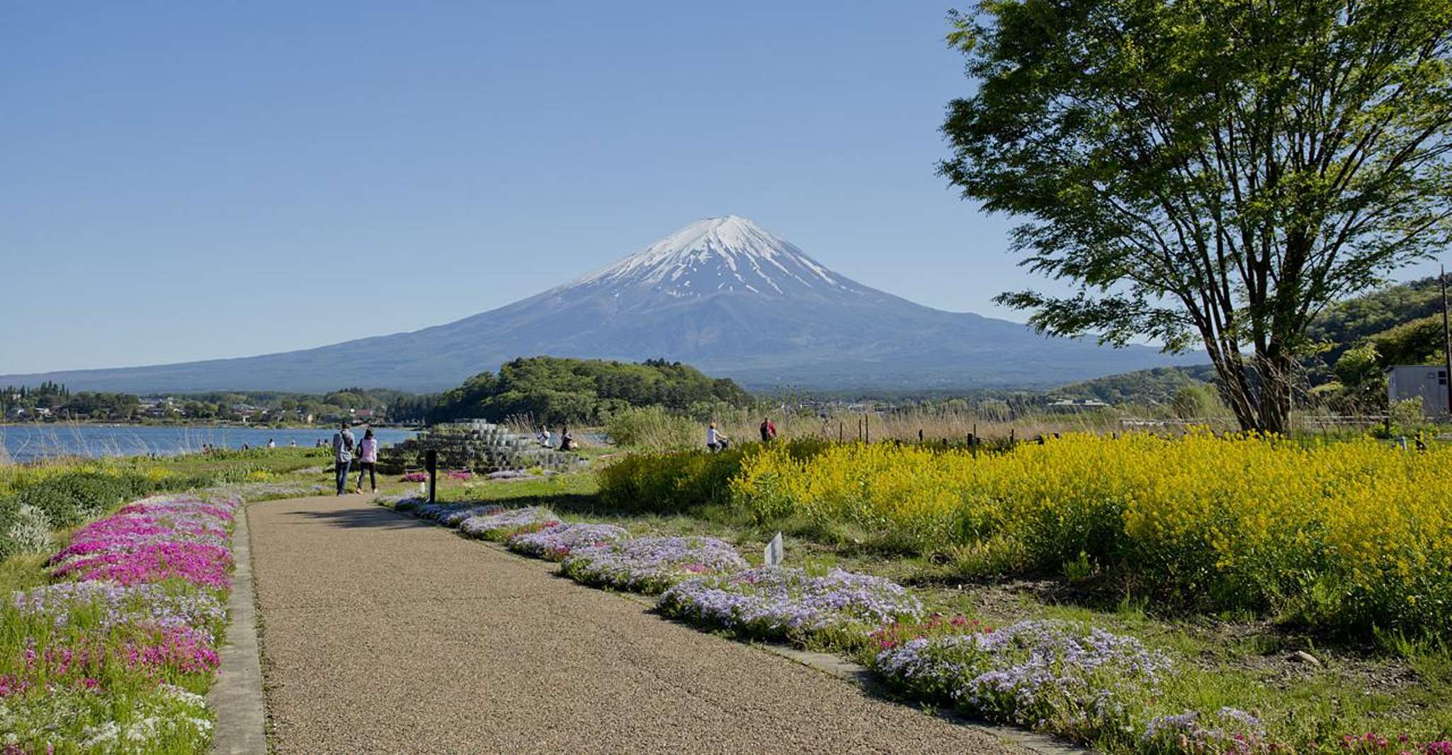 Mount Fuji Full Day Private Tour (English Speaking Driver) - Hizvo