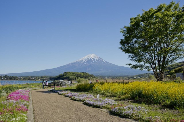 Visit Mount Fuji Full Day Private Tour (English Speaking Driver) in 富士山