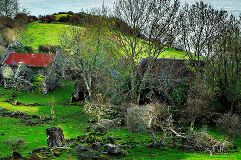 From Belfast: Gobbins Cliff Path & Glens of Antrim From Belfast: Gobbins Cliff Path, Antrim Glens and Glenariff