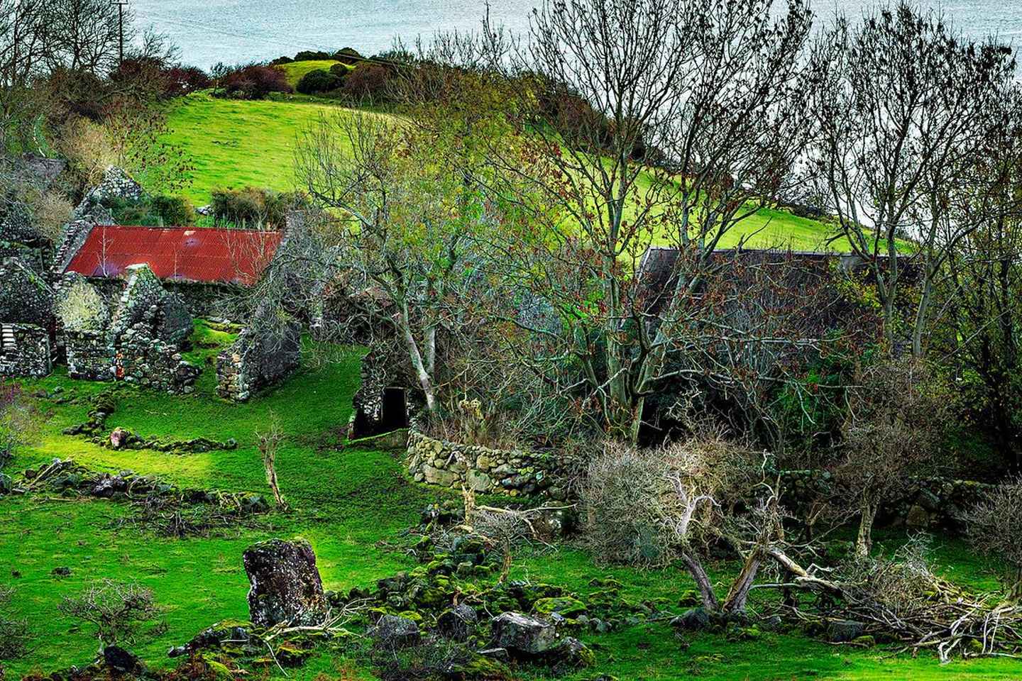 De Belfast : Transfert pittoresque vers Dublin