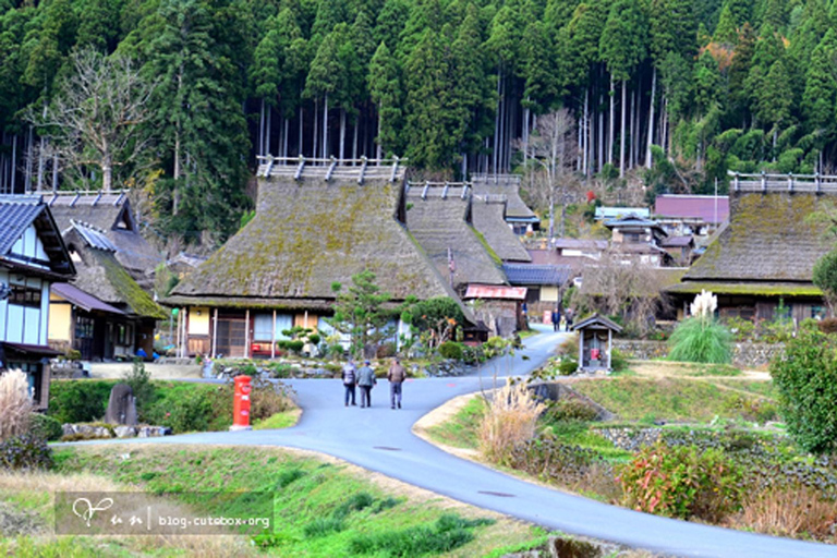 [From Osaka] Kyoto 1-Day Tour Miyama, Katsuo-ji & Arashiyama Osaka Round-trip