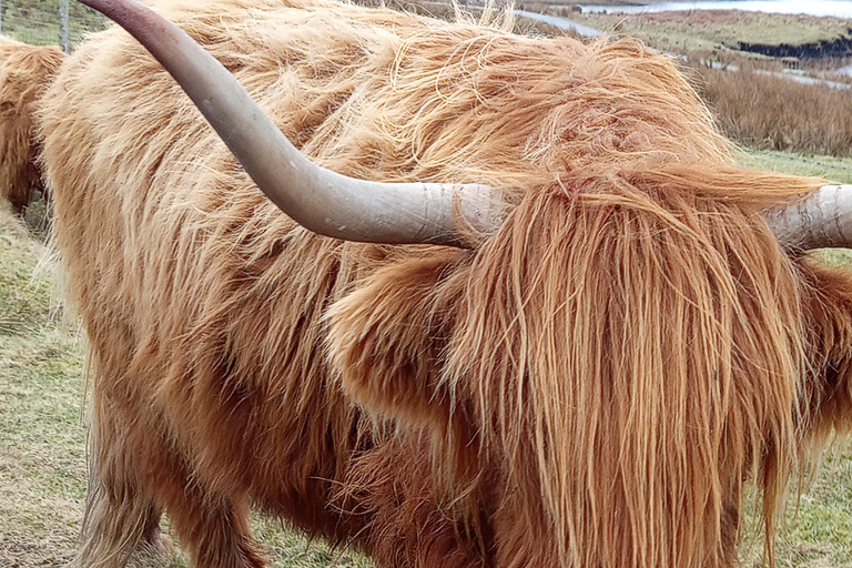 Édimbourg : Stirling, Highlands, Loch Ness, Mull - Circuit de 5 joursÉdimbourg : Stirling, Highlands, Loch Ness, Skye - Circuit de 5 jours