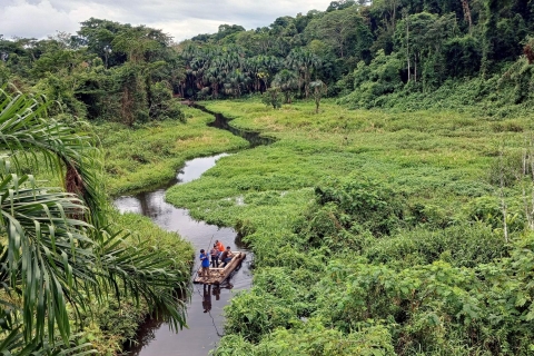 Jungle + Amazon River Excursion 4 Days