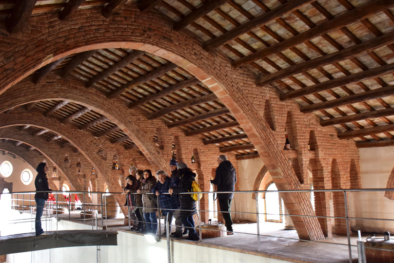 Tarragona: Wine Cathedral Tour Wine, Cava and Food Tasting