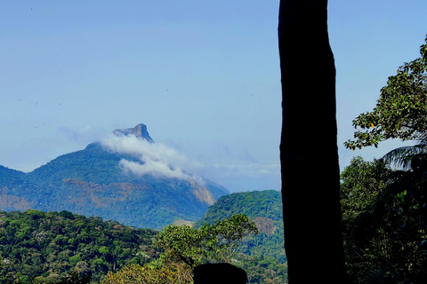 Rio de Janeiro: Tijuca Caves Guided Hike with Park Entry