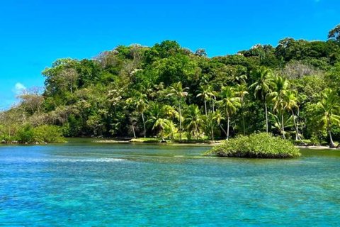 Njut av paradisiska lekplatser belägna i Colón