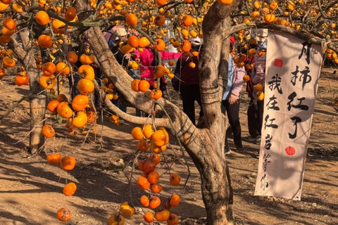 Guilin: Private Wen & Wu Temple Tour with Red Rock Village