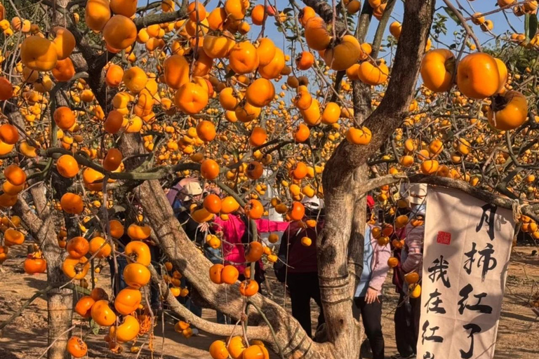 Guilin: Private Wen & Wu Temple Tour with Red Rock Village