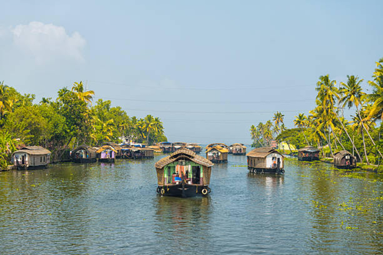 Kerala: Kochi, Munnar, Alleppey & Trivandrum Multi-Day Tour From Kochi: 7 Days Private Tour (All Inclusive)