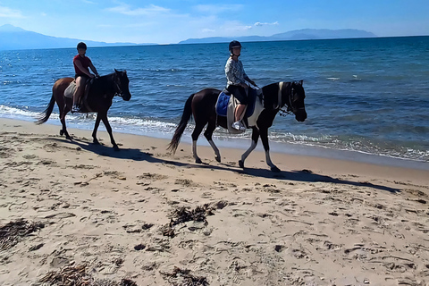 Kuşadası: VIP Horseback Riding and Sunset Beach Safari 3-Hour Sunset Forest & Village Safari