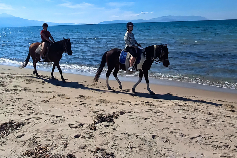 Kuşadası: VIP Horseback Riding and Sunset Beach Safari 3-Hour Sunset Forest & Village Safari