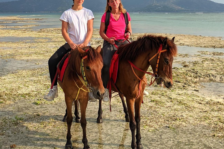 Gili Islands: Horseback Ride on the Beach