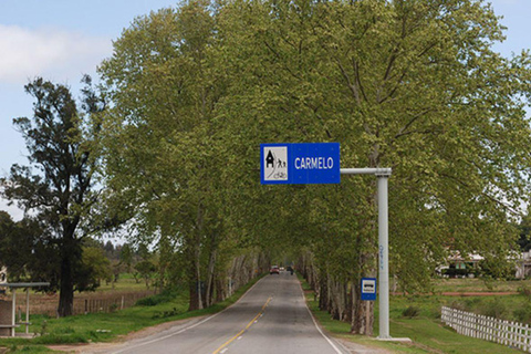 Privater Transport von Colonia del Sacramento nach Punta del EsteVon Carmelo nach Colonia del Sacramento