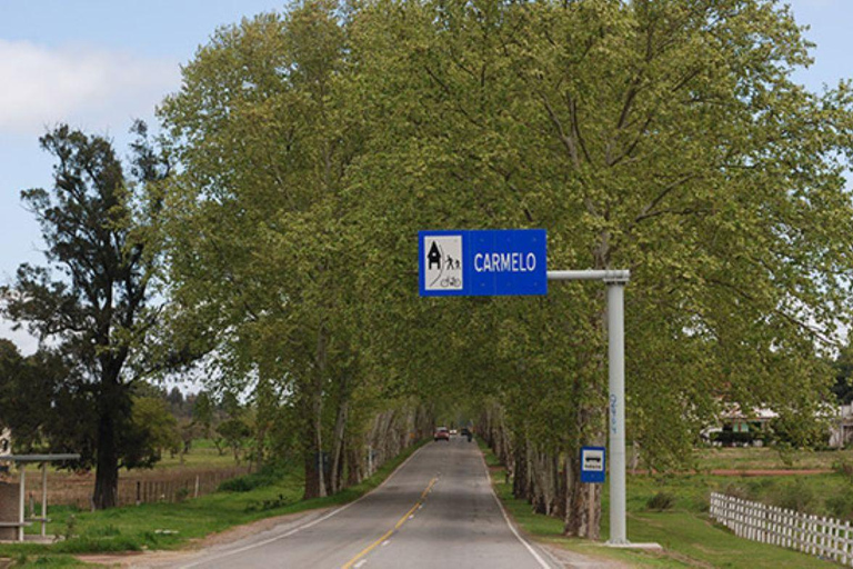 Trasporto privato Colonia del Sacramento a Punta del EsteDa Colonia a Carmelo