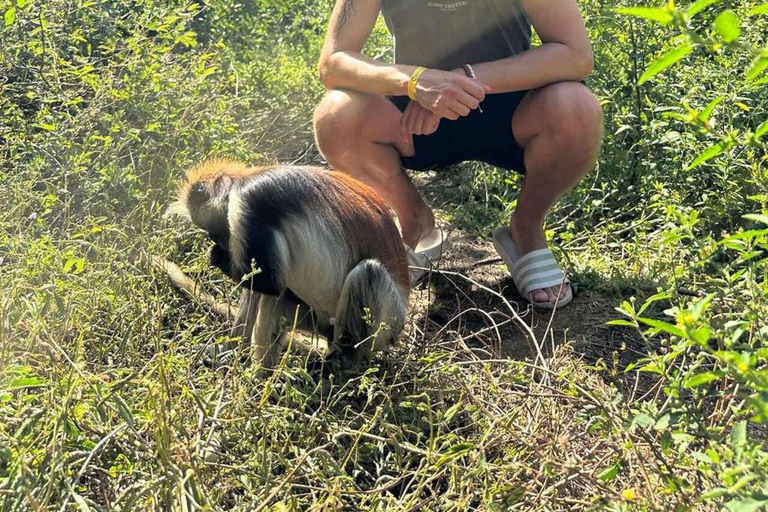 Grotta di Salam, Laguna Blu, Spiaggia delle Stelle Marine e Ristorante The Rock