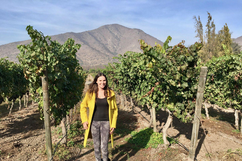 Santiago : Visite d&#039;une demi-journée des vignobles de Santa Rita