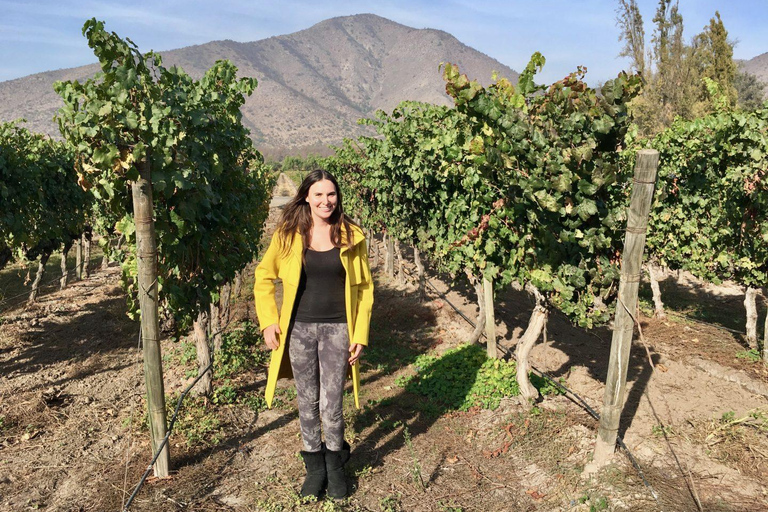 Santiago : Visite d&#039;une demi-journée des vignobles de Santa Rita