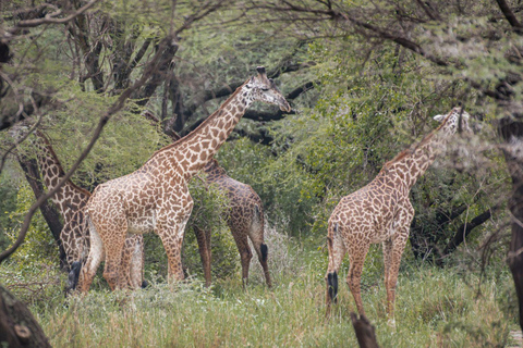 3-dniowe prywatne safari z Zanzibaru z lotami