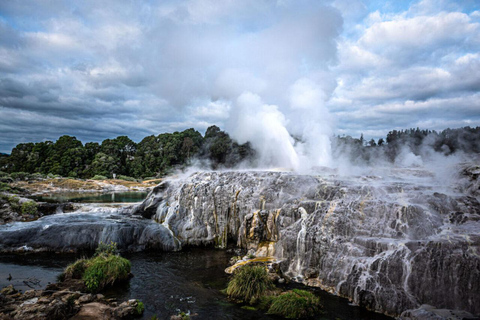 Desde Auckland: Excursión de un día a Te Puia y al Balneario Polinesio de Rotorua