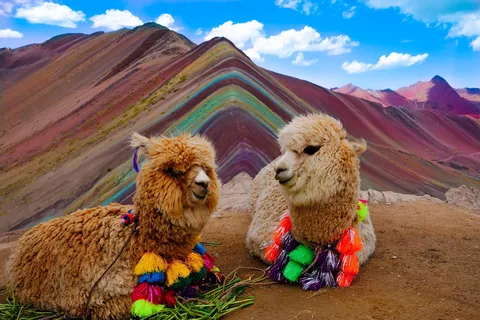 From Cusco: Machu Picchu and Rainbow Mountain 2-Day Tour