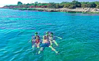Fazana, Private cruise Brijuni & Fossil Island Snorkeling - Housity