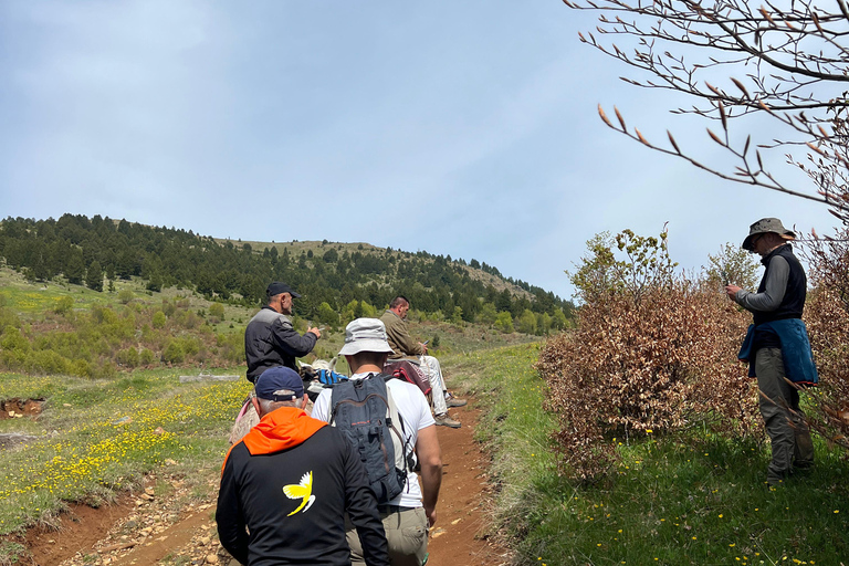 Hike to Valamara’s Glacial Lakes with Pickup from Korça