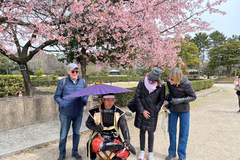 Nagoya 6hr Private Tour with Government-Licensed Guide