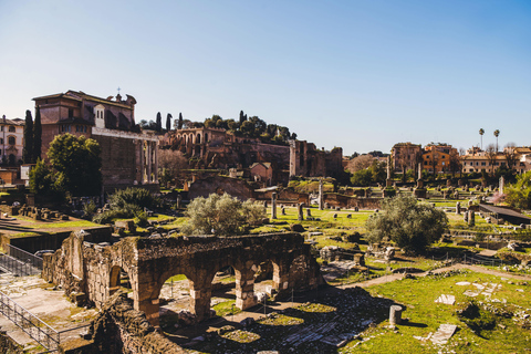 Rome: Colosseum, Roman Forum, & Palatine Hill with eBook Rome: Colosseum, Roman Forum, Palatine Hill, & Free eBook