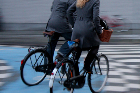 Beste van Kopenhagen fietstour-3 uur, kleine groep max 10