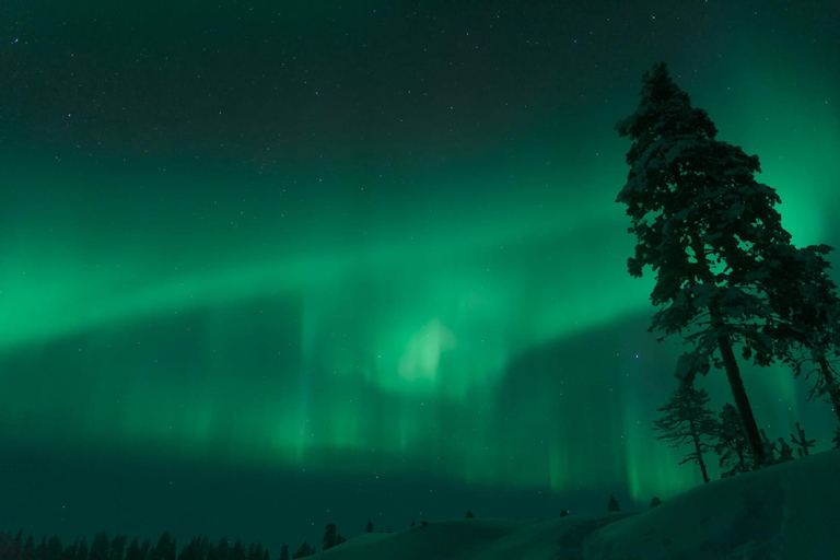 Rovaniemi: Aurora Hunt with 95% Success Rate, 4 people group Rovaniemi: Aurora Hunt with 95% Success Rate, PRIVATE