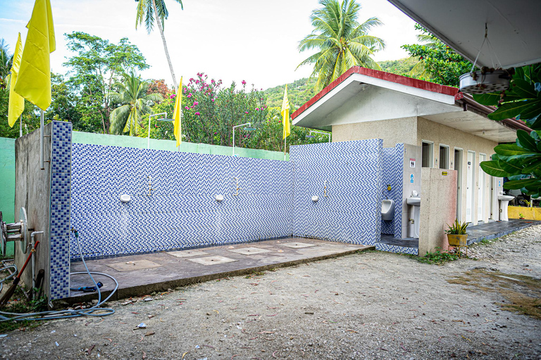 Cebu: Oslob valhajar, Moalboal sardinkörning och havssköldpaddorCebu: Valhajar i Oslob, sardinfiske i Moalboal och havssköldpaddor