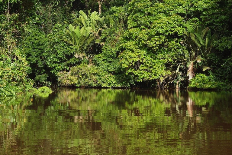 Parque Nacional de Tortuguero: Las mejores cosas que hacer en Tortuguero