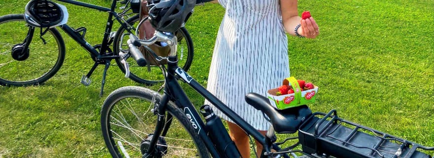 Québec : visite guidée en vélo électrique de l'île d'Orléans avec dégustations
