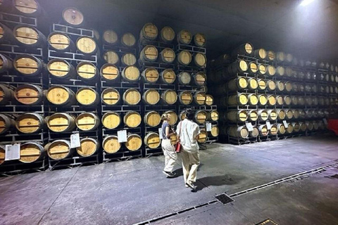 Mendoza : visite d'une jounée, visite et dégustation - 3 domaines viticolesRégion Maipu