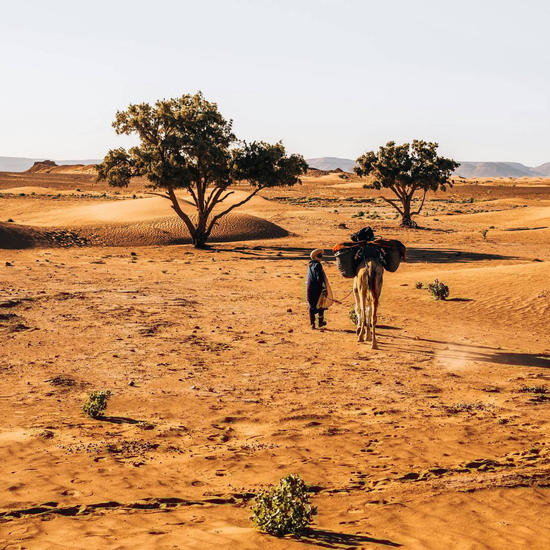 Circuit 2 jours : désert El Borj, Legzira et Sidi Ifni depuis Agadir