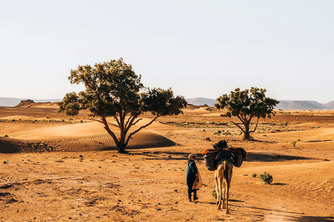2-day tour: El Borj desert, Legzira, and Sidi Ifni from Agadir