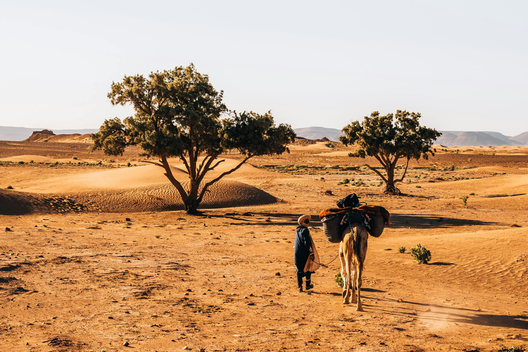 2-day tour: El Borj desert, Legzira, and Sidi Ifni from Agadir