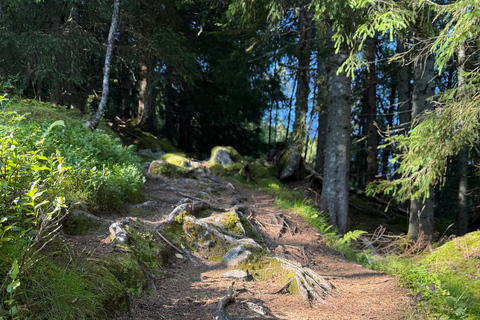 Nordfjordeid: Guided Trollenykjen Summit Hike