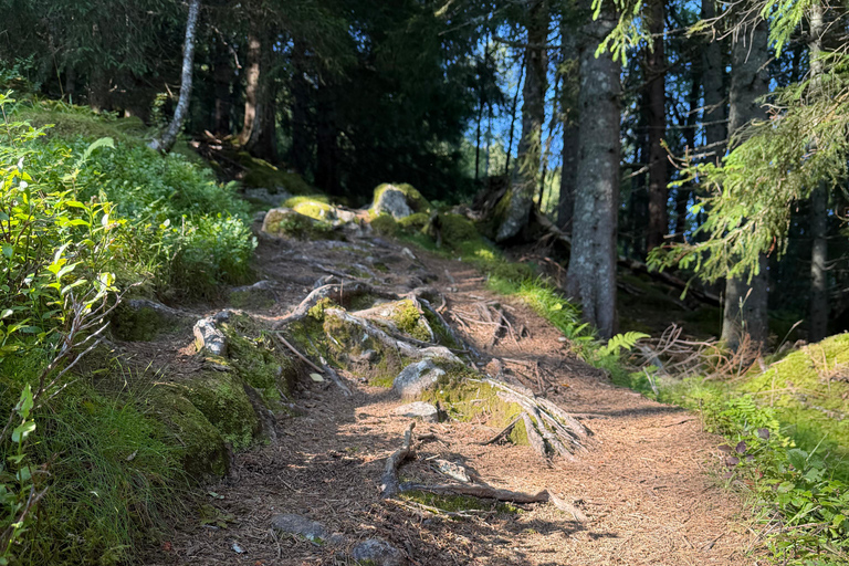 Nordfjordeid: Guided Trollenykjen Summit Hike