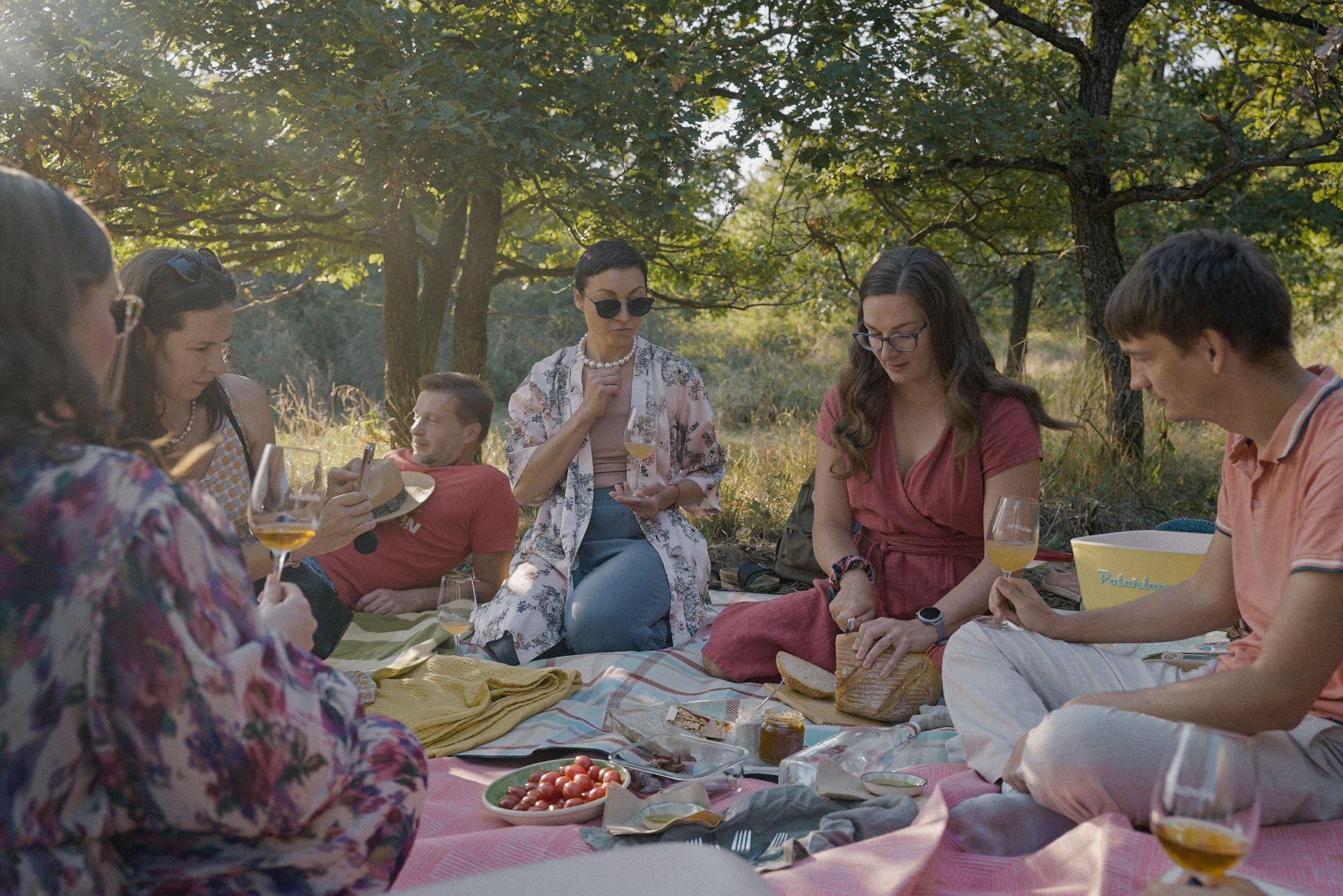 Bratislava: Spaziergang durch die Weinberge und Weinpicknick mit Winzerin
